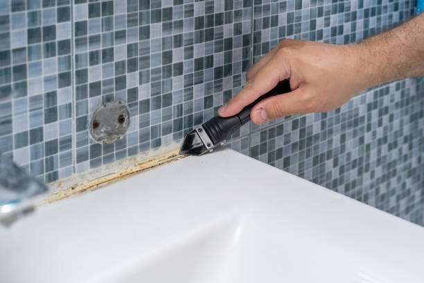 Best Same-Day Mold Removal  in Lindstrom, MN