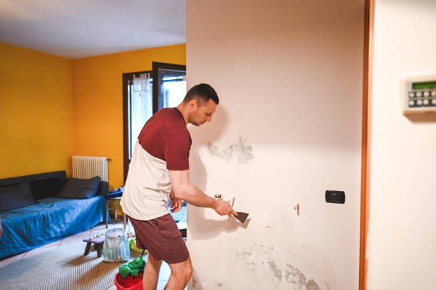Mold Removal Process in Lindstrom, MN